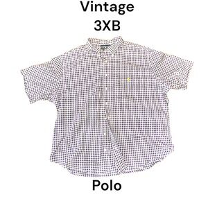 Polo by Ralph Lauren Casual Blue and White Gingham Shirt
